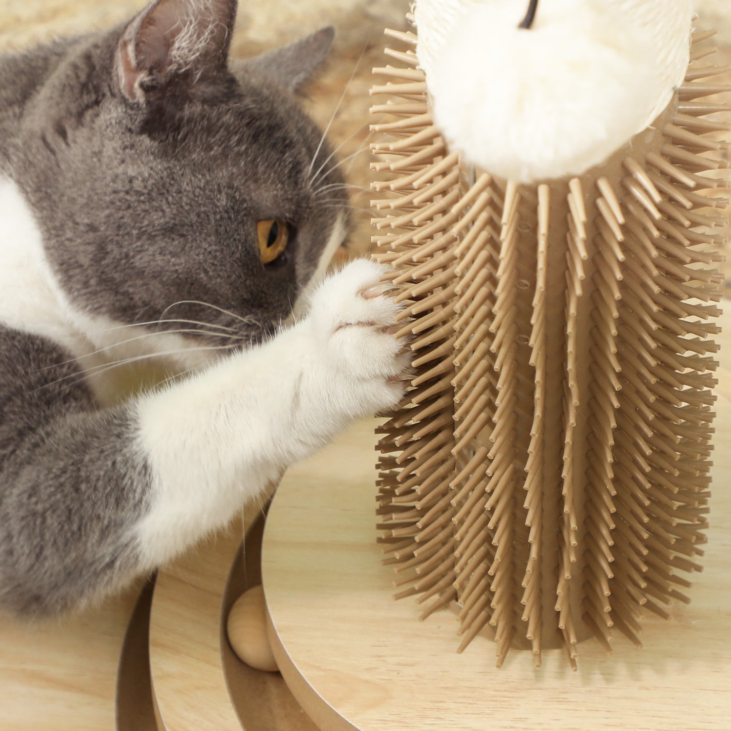 PawHut Poste Rascador para Gatos 49 cm Arañador para Gatos con Poste de Sisal Cepillo Carril Giratorio con Bolas de Juego Pluma Elástica y Bola de Juguete Roble