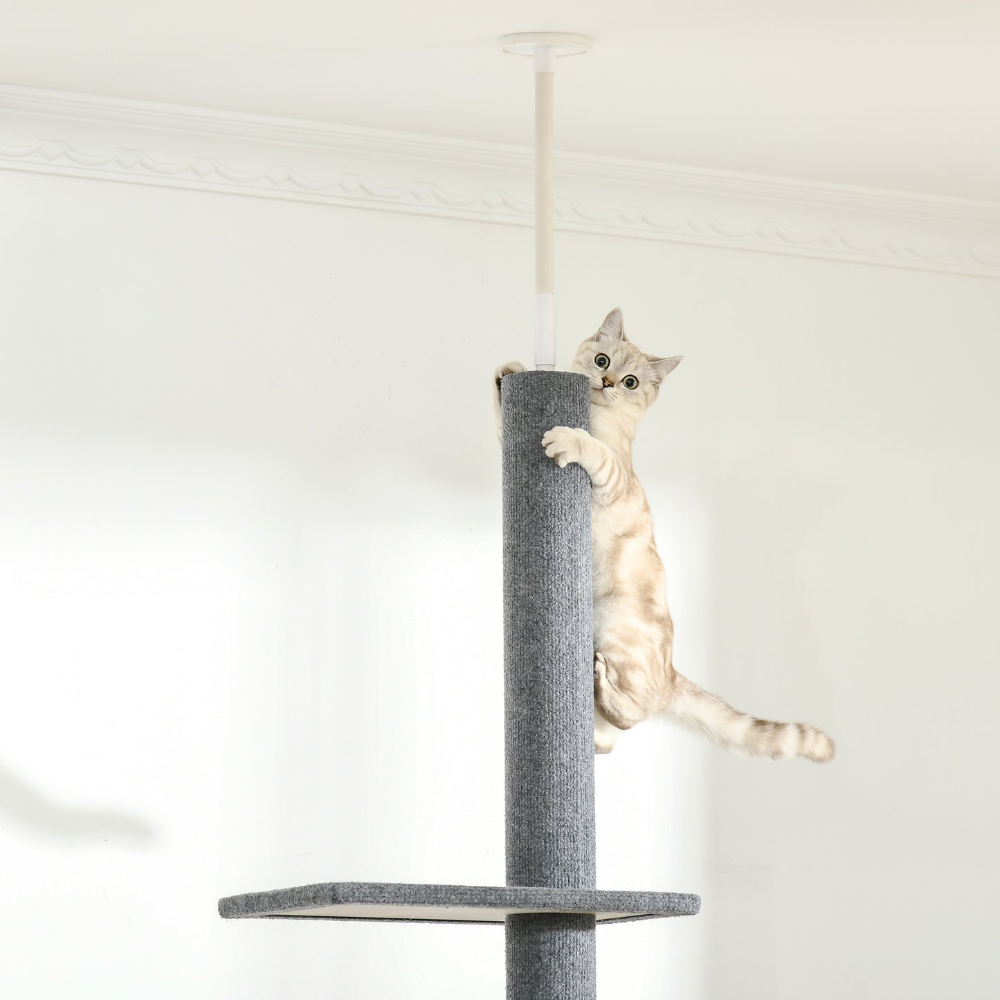 PawHut Árbol para Gatos del Suelo al Techo 43x27x228-260 cm Torre para Gatos con Altura Ajustable 4 Plataformas Espaciosas y Poste de Sisal Gris