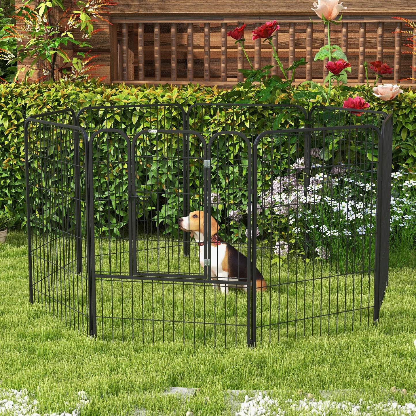 PawHut Parque para Mascotas de 8 Paneles 80x100 cm Corralito para Perros con Puerta y Doble Pestillo Metálicos Cerca de Entrenamiento Negro