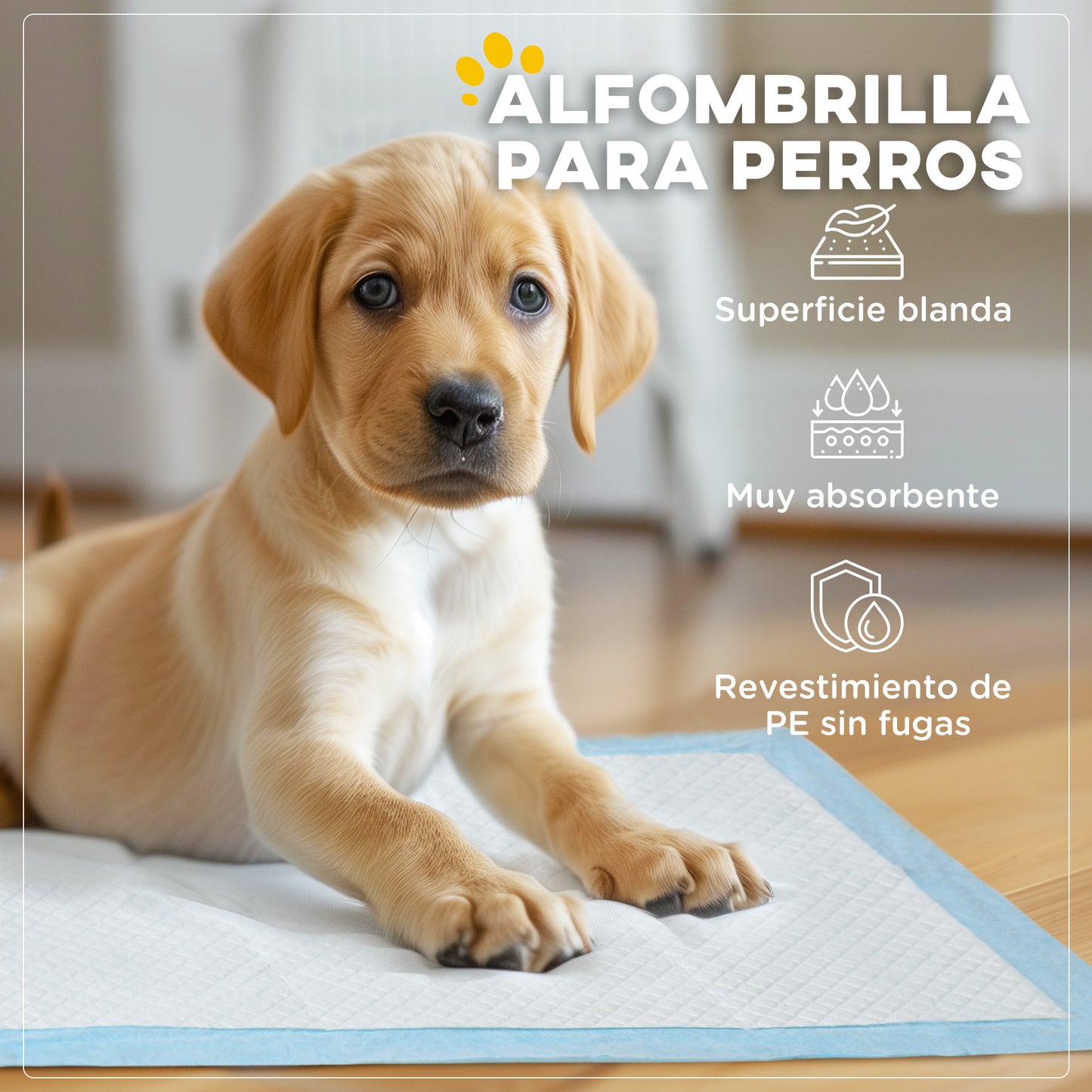 PawHut Empapadores para Perros 80 Unidad 60x60 cm Resguardos para Perros Diseño de 6 Capas con Superficie de Secado Rápido a Prueba de Fugas Azul