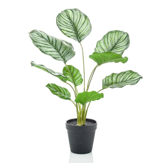 Emerald Calathea Orbifolia artificial en maceta 45 cm