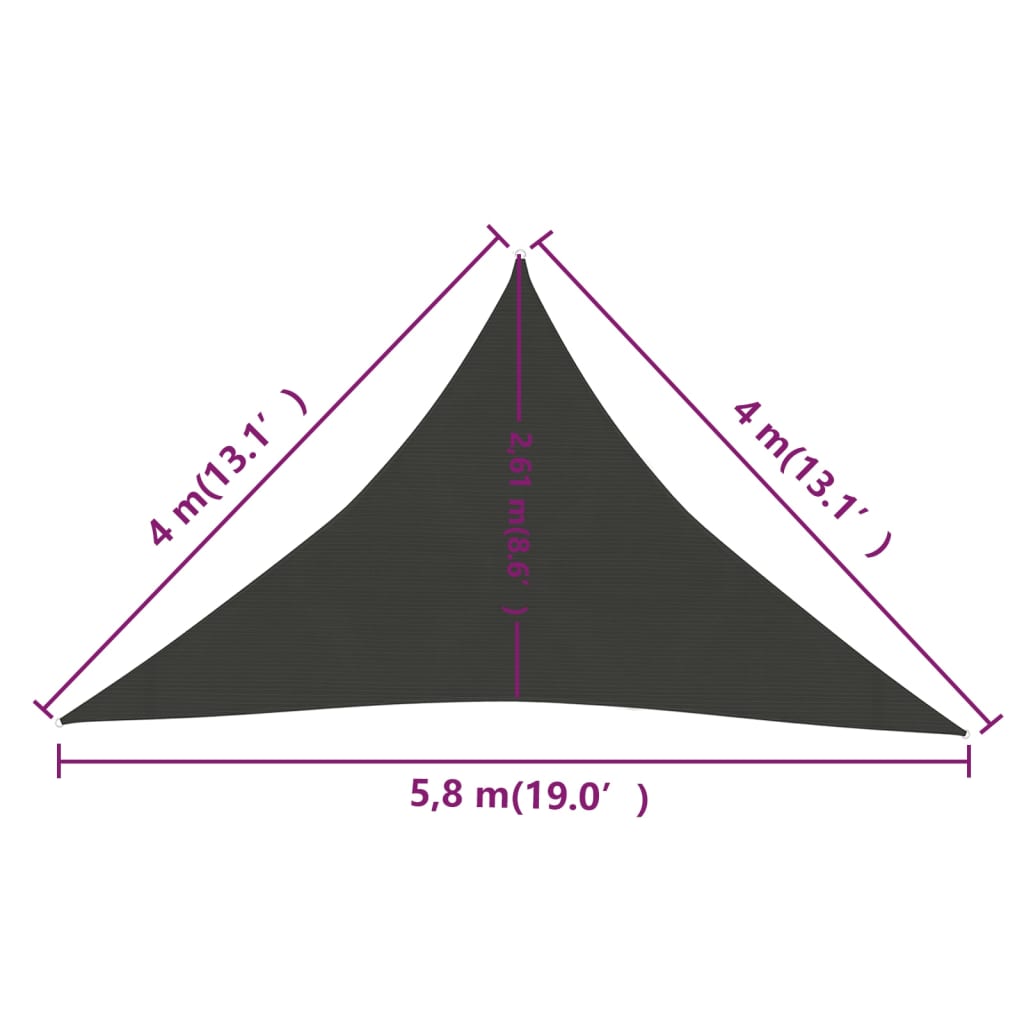 vidaXL Toldo de vela antracita HDPE 160 g/m² 4x4x5,8 m