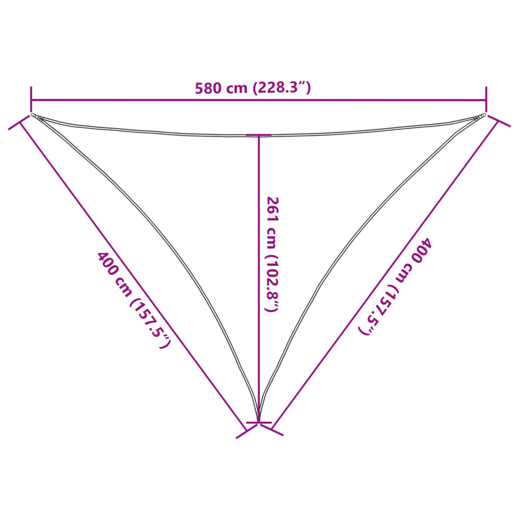 vidaXL Toldo de vela antracita HDPE 160 g/m² 4x4x5,8 m