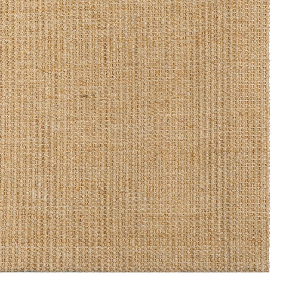 vidaXL Alfombra de sisal natural 66x100 cm