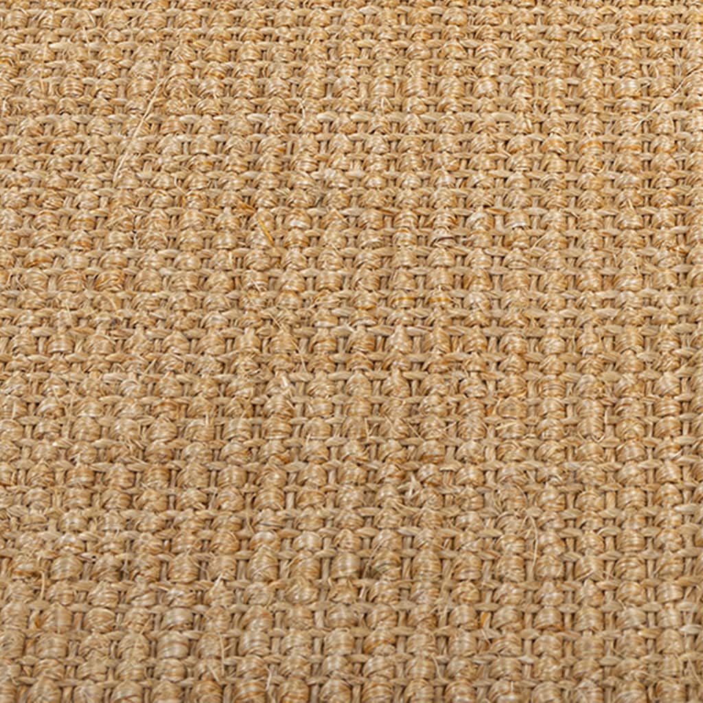 vidaXL Alfombra de sisal natural 66x100 cm