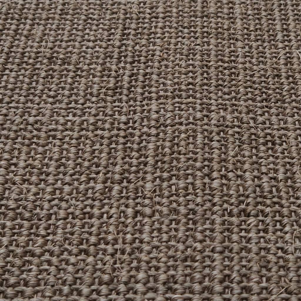 vidaXL Alfombra de sisal natural marrón 66x150 cm