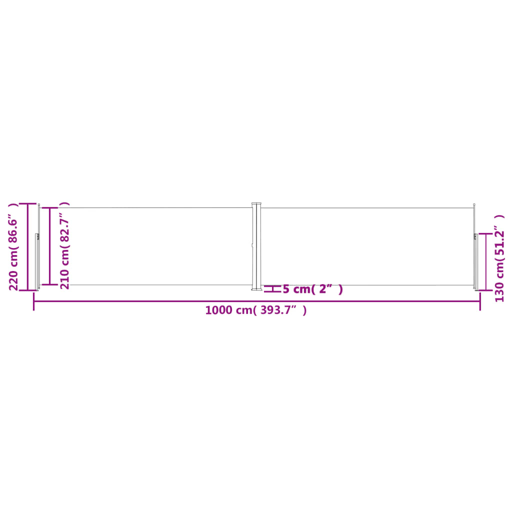 vidaXL Toldo lateral retráctil antracita 220x1000 cm