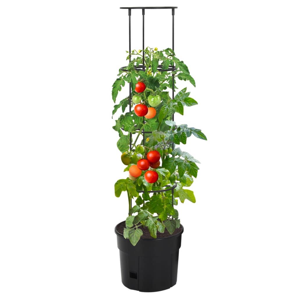 vidaXL Macetero para tomates polipropileno antracita Ø29,5x115 cm