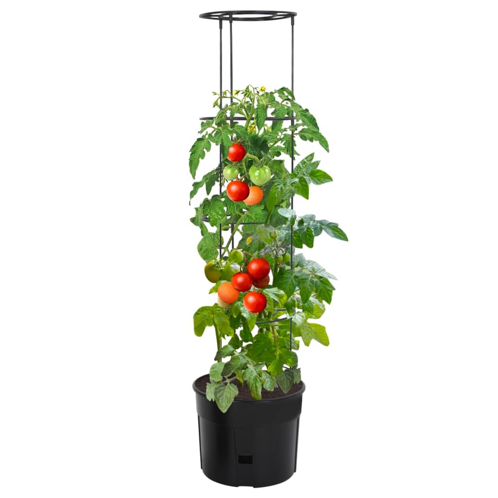 vidaXL Macetero para tomates polipropileno gris antracita Ø39x150 cm