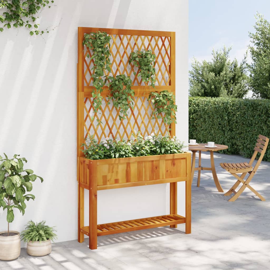 vidaXL Jardinera con enrejado y estante acacia maciza 100x32x185 cm