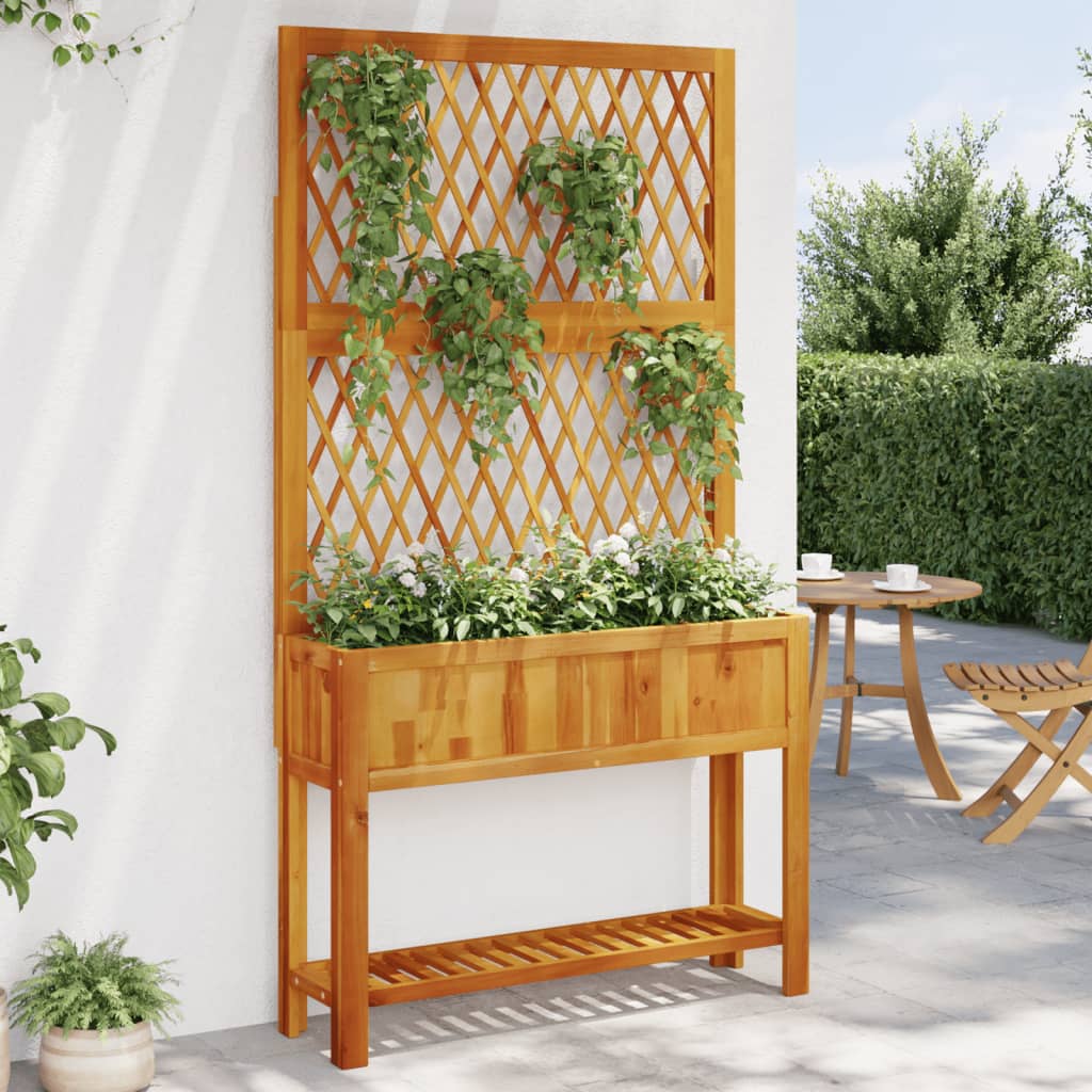 vidaXL Jardinera con enrejado y estante acacia maciza 100x32x185 cm