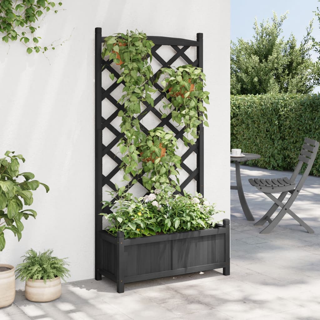 vidaXL Jardinera con enrejado madera maciza de abeto negro