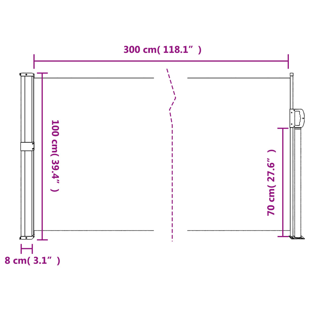 vidaXL Toldo lateral retráctil negro 100x300 cm