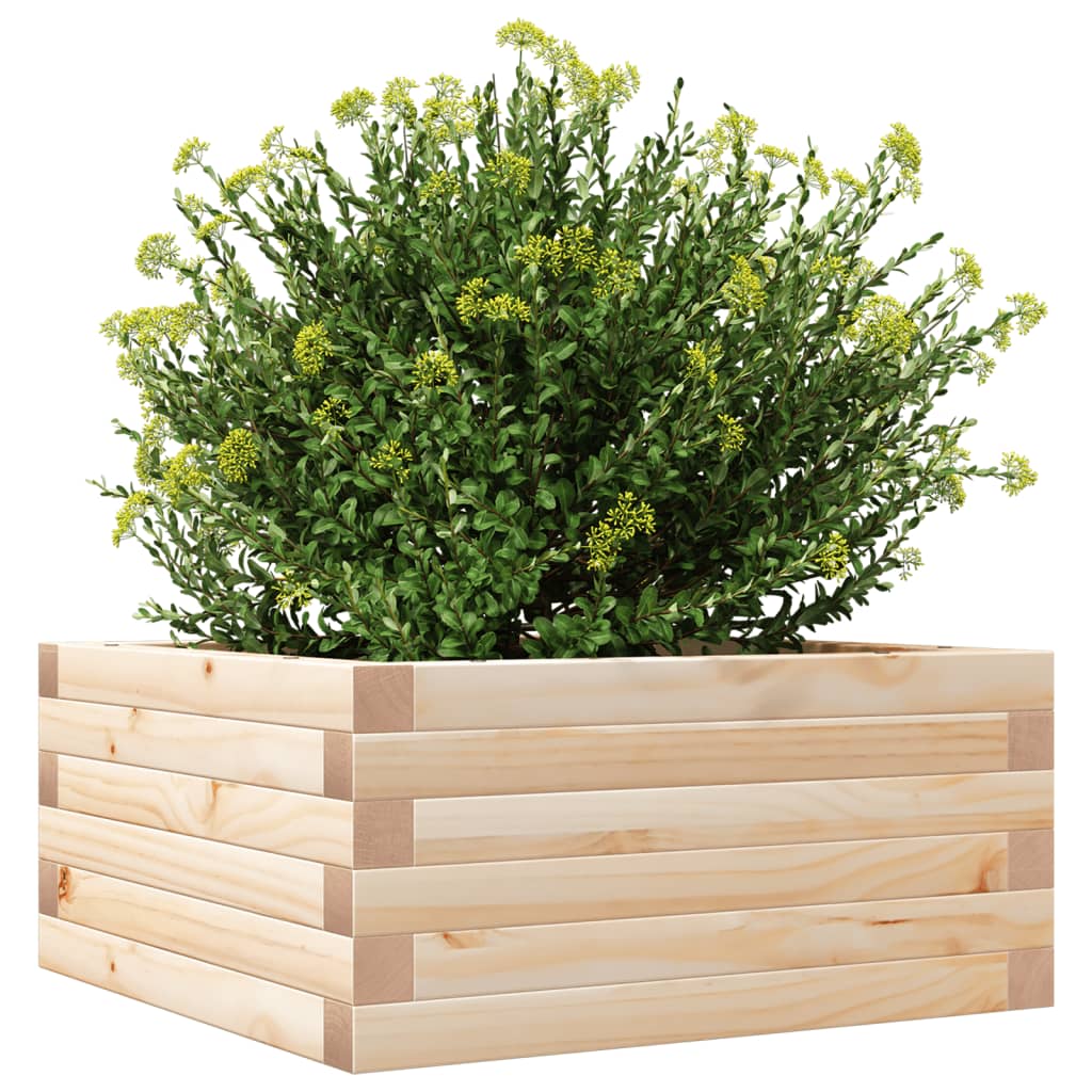 vidaXL Jardinera de madera maciza de pino 50x50x23 cm