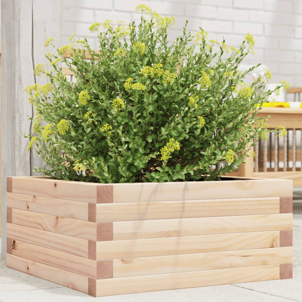 vidaXL Jardinera de madera maciza de pino 50x50x23 cm