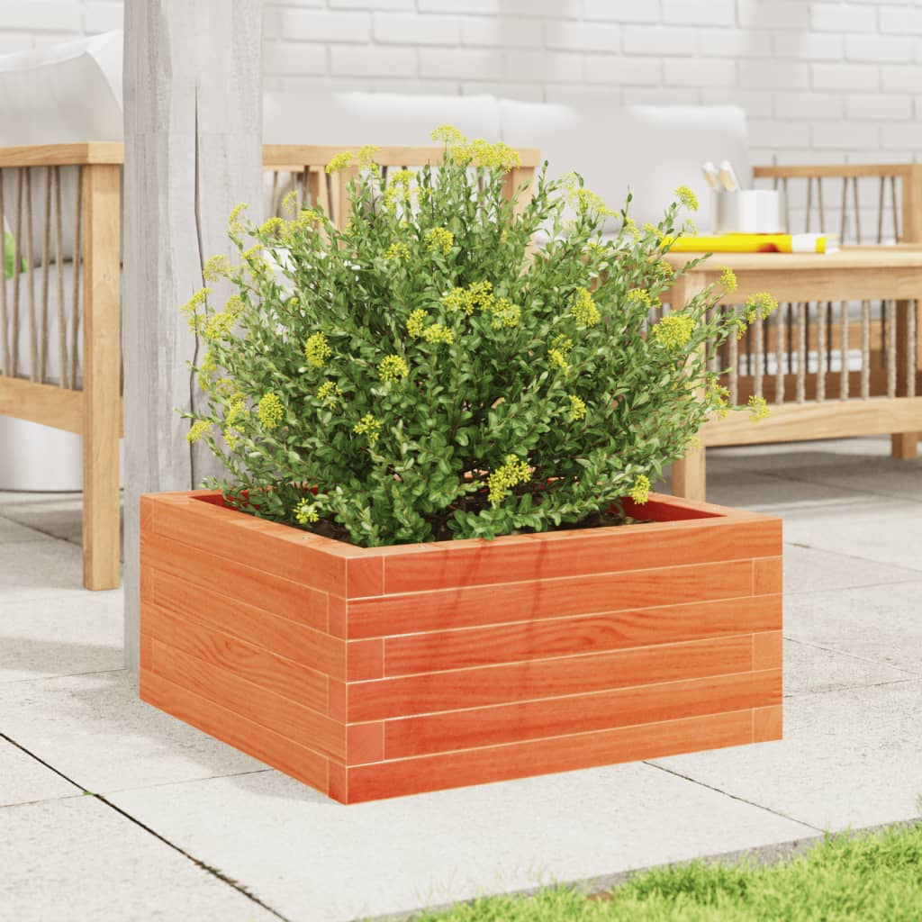 vidaXL Jardinera de madera maciza de pino marrón cera 50x50x23 cm