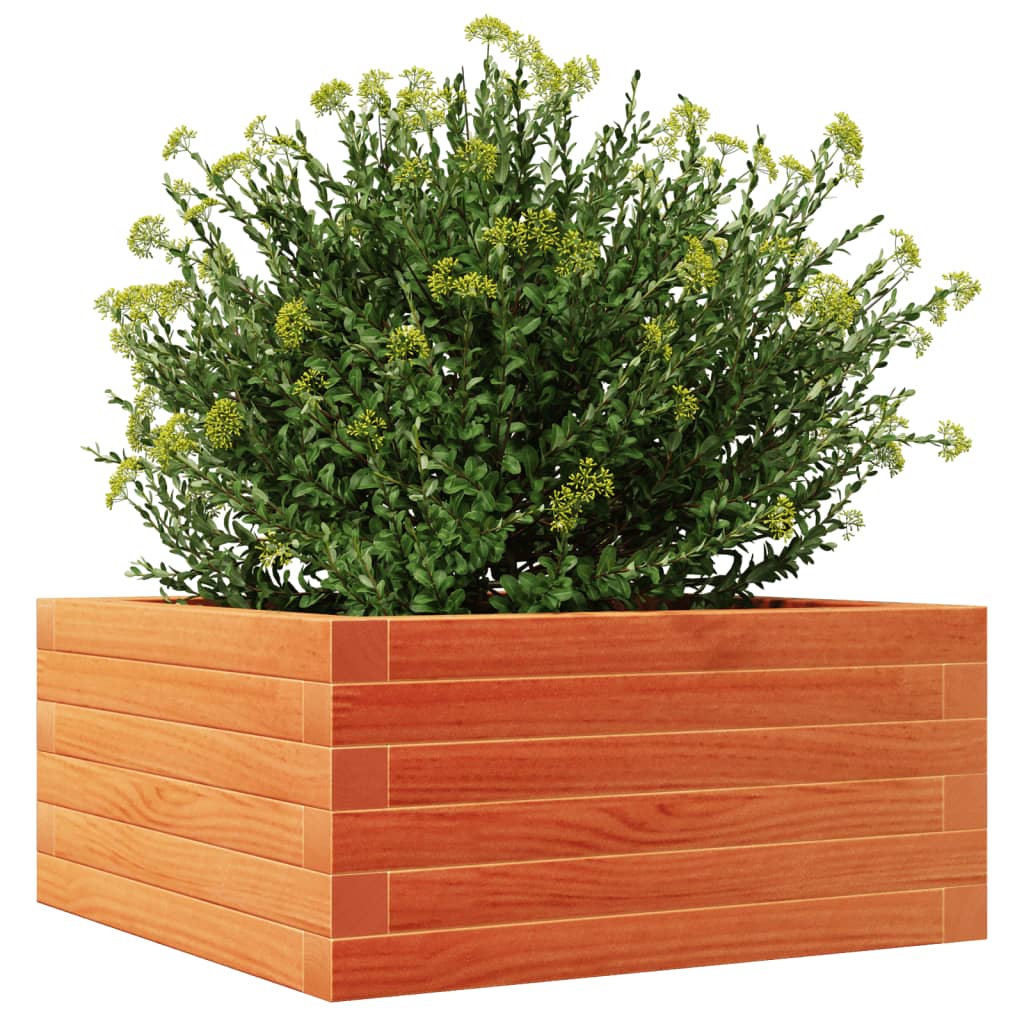 vidaXL Jardinera de madera maciza de pino marrón cera 50x50x23 cm