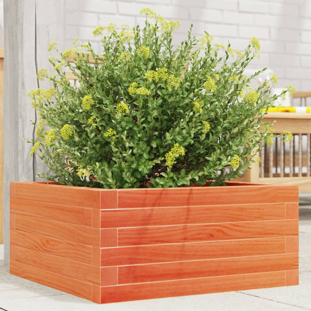 vidaXL Jardinera de madera maciza de pino marrón cera 50x50x23 cm