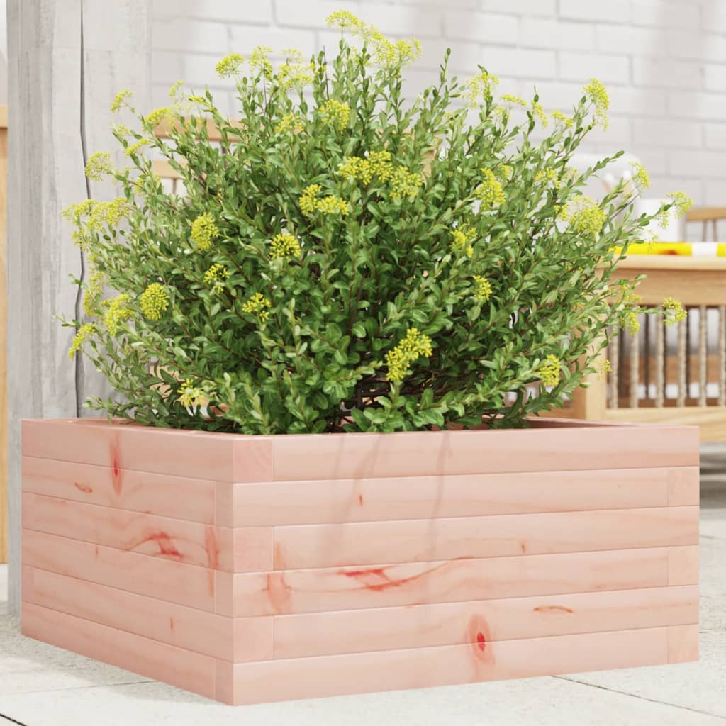 vidaXL Jardinera de madera maciza Douglas 50x50x23 cm