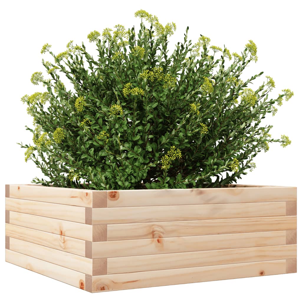 vidaXL Jardinera de madera maciza de pino 60x60x23 cm