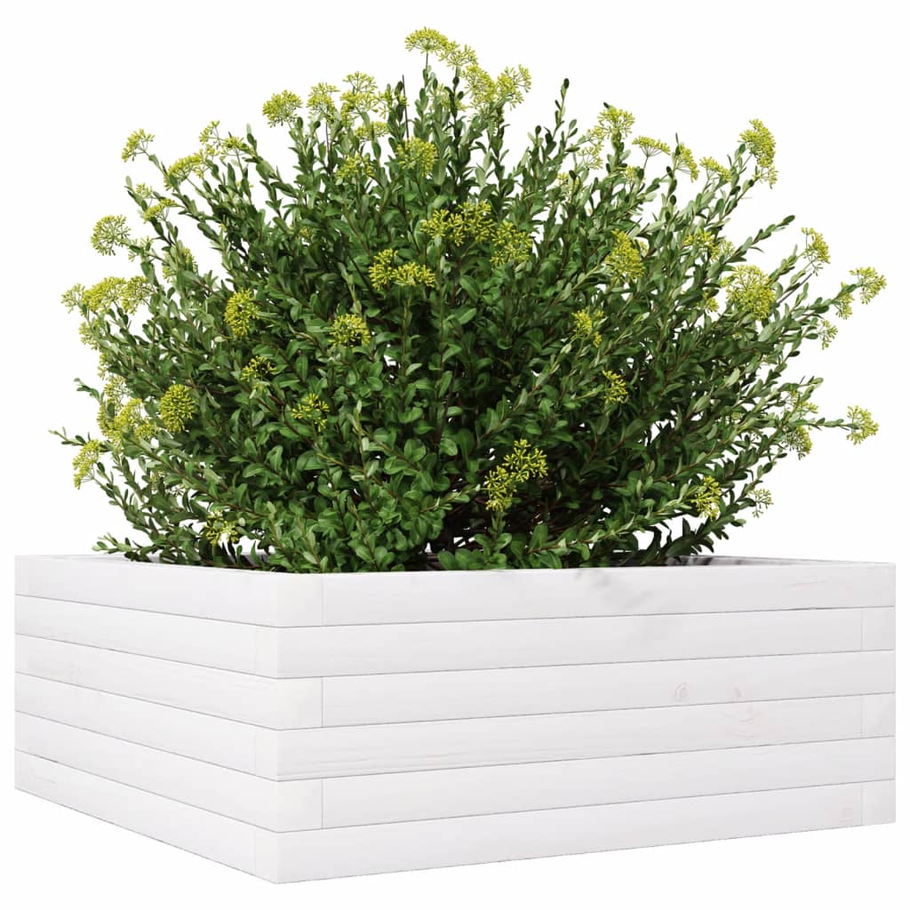 vidaXL Jardinera de madera maciza de pino blanca 60x60x23 cm