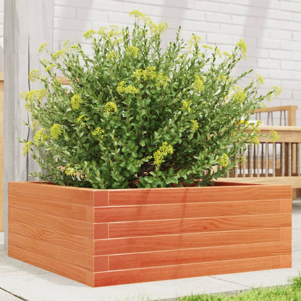 vidaXL Jardinera de madera maciza pino marrón cera 60x60x23 cm