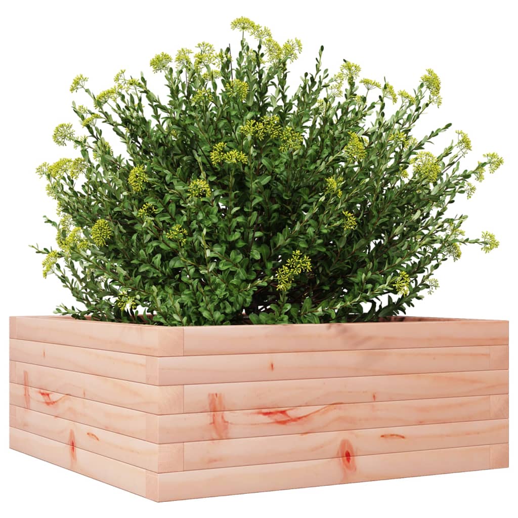 vidaXL Jardinera de madera maciza de abeto Douglas 60x60x23 cm