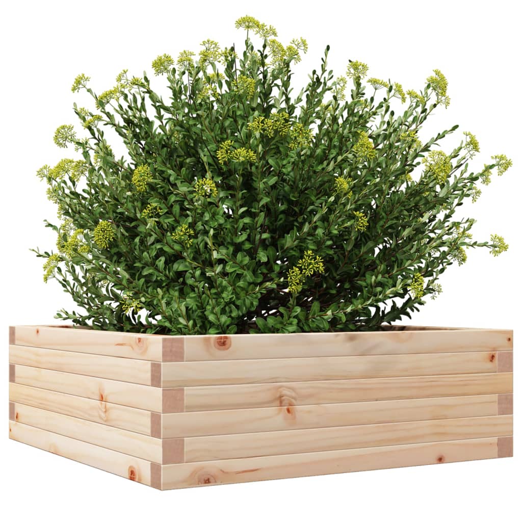 vidaXL Jardinera de madera maciza de pino 70x70x23 cm