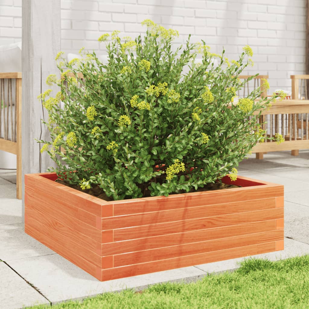 vidaXL Jardinera de madera maciza pino marrón cera 70x70x23 cm