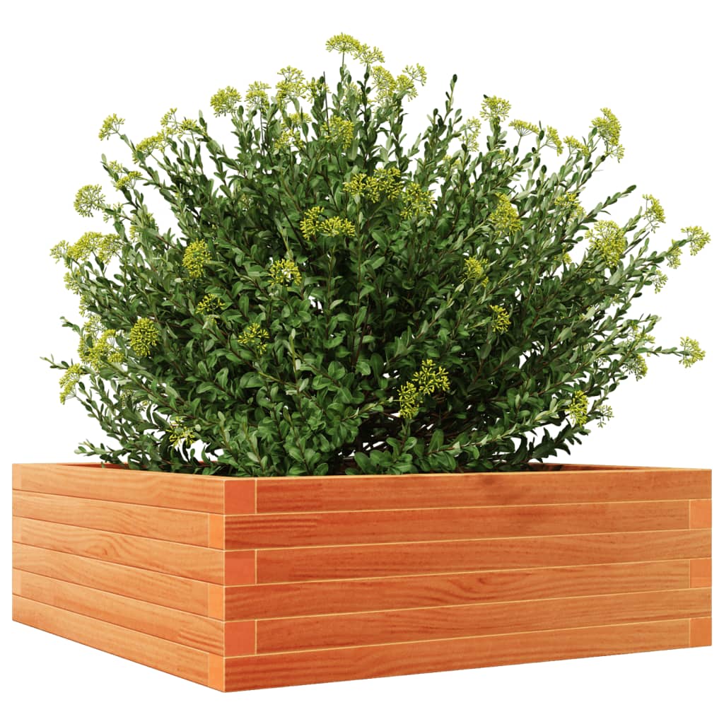 vidaXL Jardinera de madera maciza pino marrón cera 70x70x23 cm