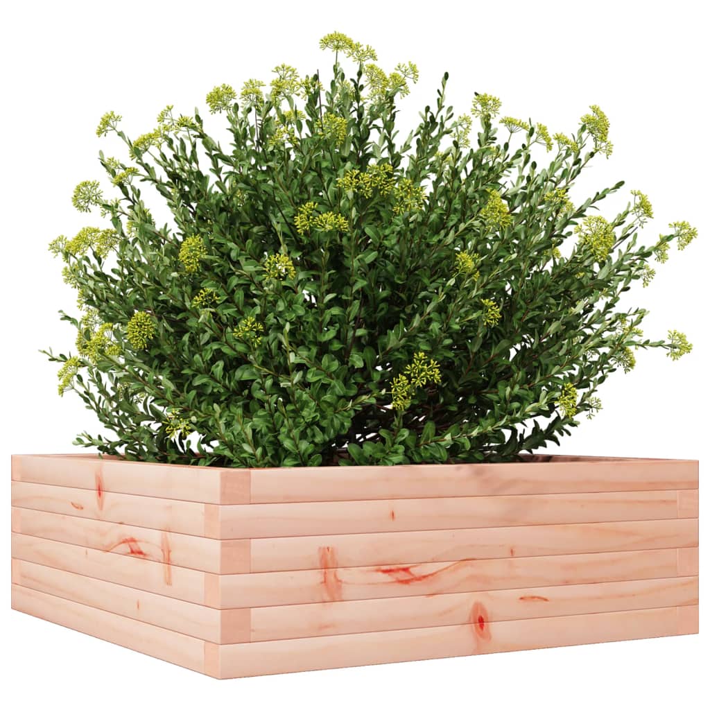 vidaXL Jardinera madera maciza de abeto Douglas 70x70x23 cm