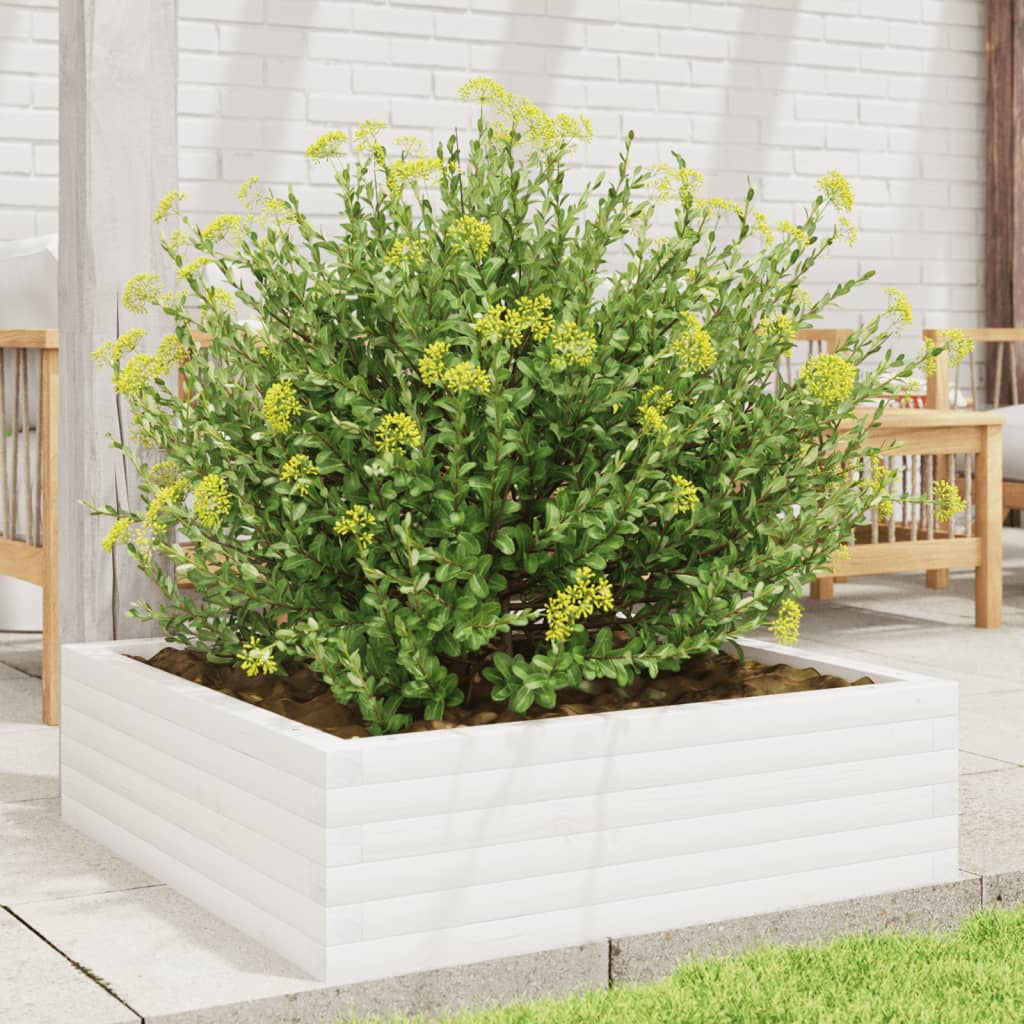 vidaXL Jardinera de madera maciza de pino blanca 80x80x23 cm