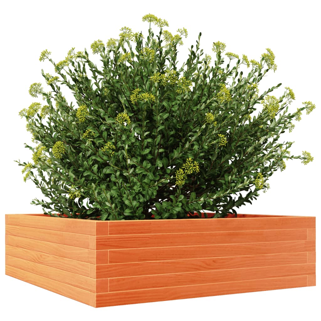 vidaXL Jardinera de madera maciza pino marrón cera 80x80x23 cm