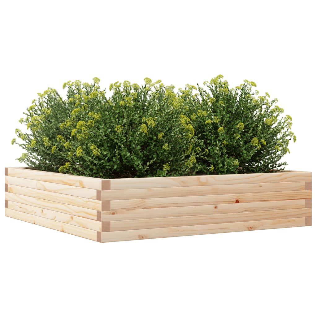 vidaXL Jardinera de madera maciza de pino 100x100x23 cm