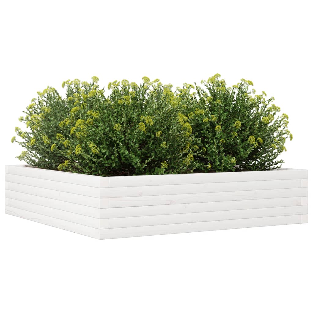 vidaXL Jardinera madera maciza de pino blanco 100x100x23 cm