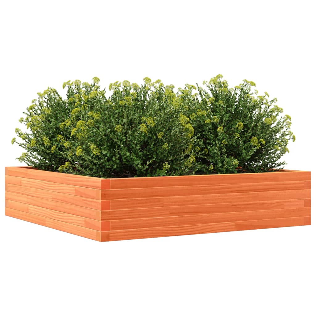 vidaXL Jardinera de madera maciza de pino marrón cera 100x100x23 cm