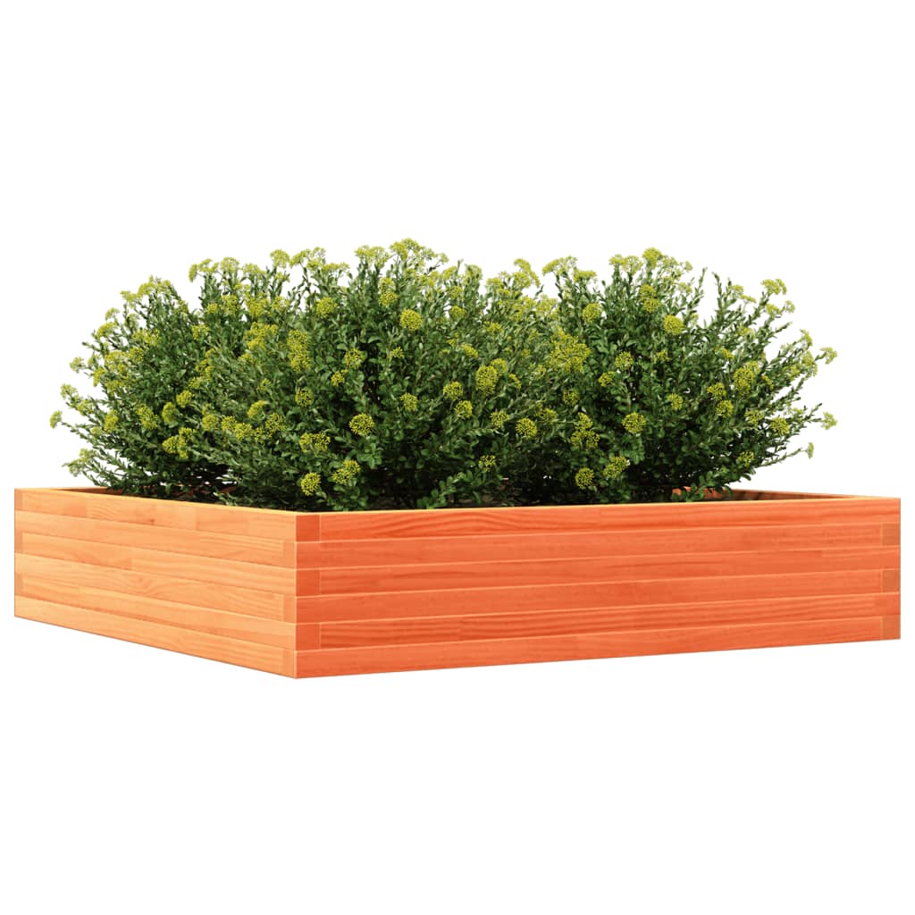 vidaXL Jardinera de madera maciza de pino marrón cera 110x110x23 cm