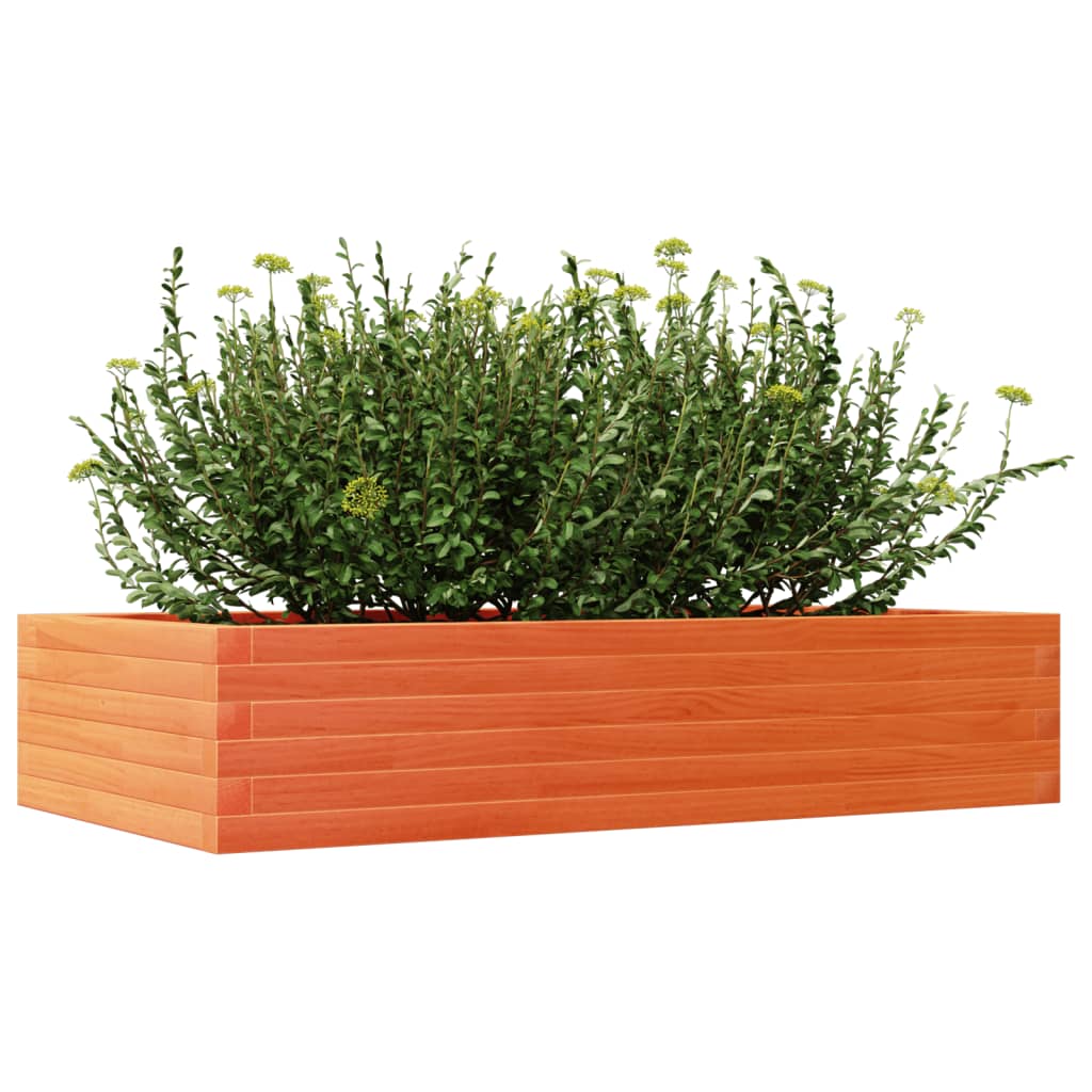 vidaXL Jardinera madera maciza de pino marrón cera 110x60x23 cm