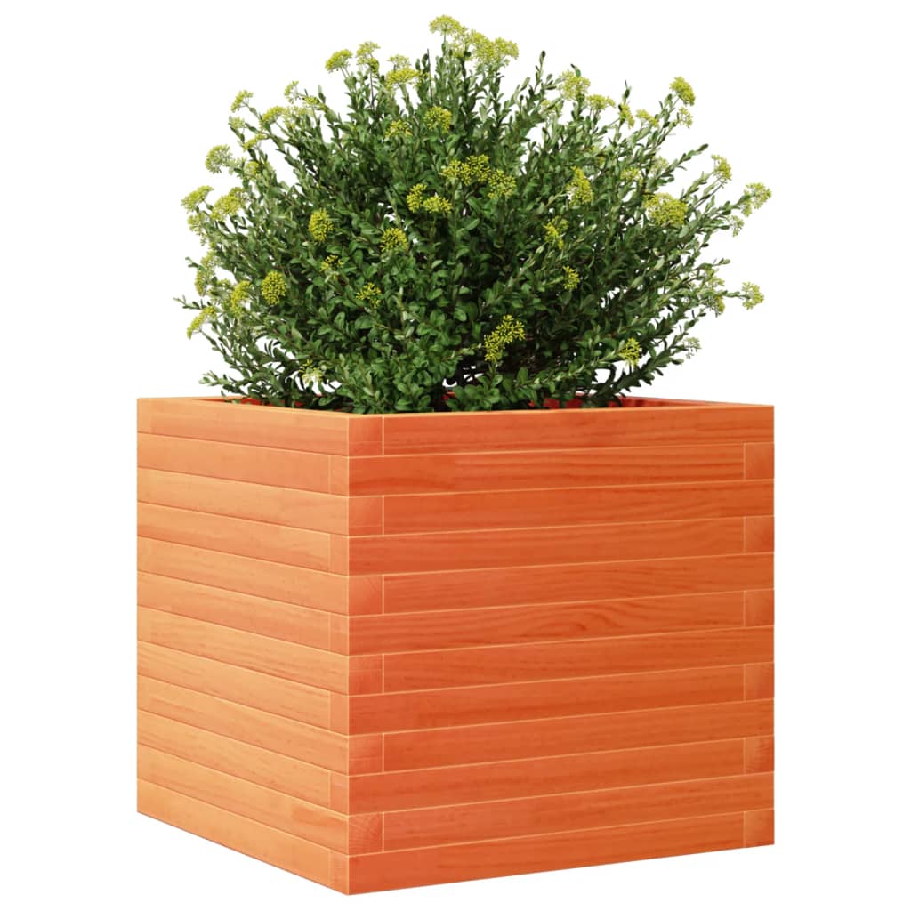 vidaXL Jardinera madera maciza de pino marrón cera 50x50x45,5 cm