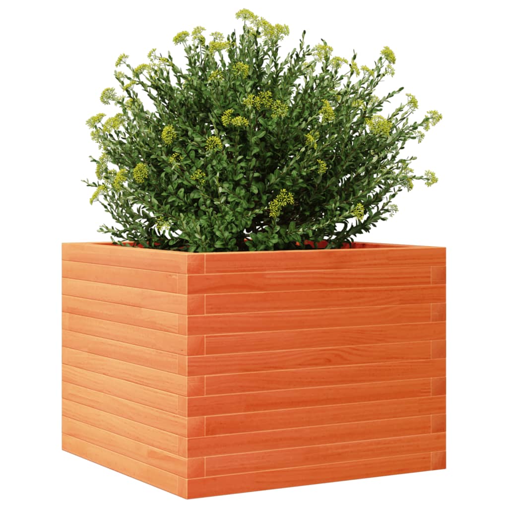 vidaXL Jardinera de madera maciza de pino marrón cera 60x60x45,5 cm