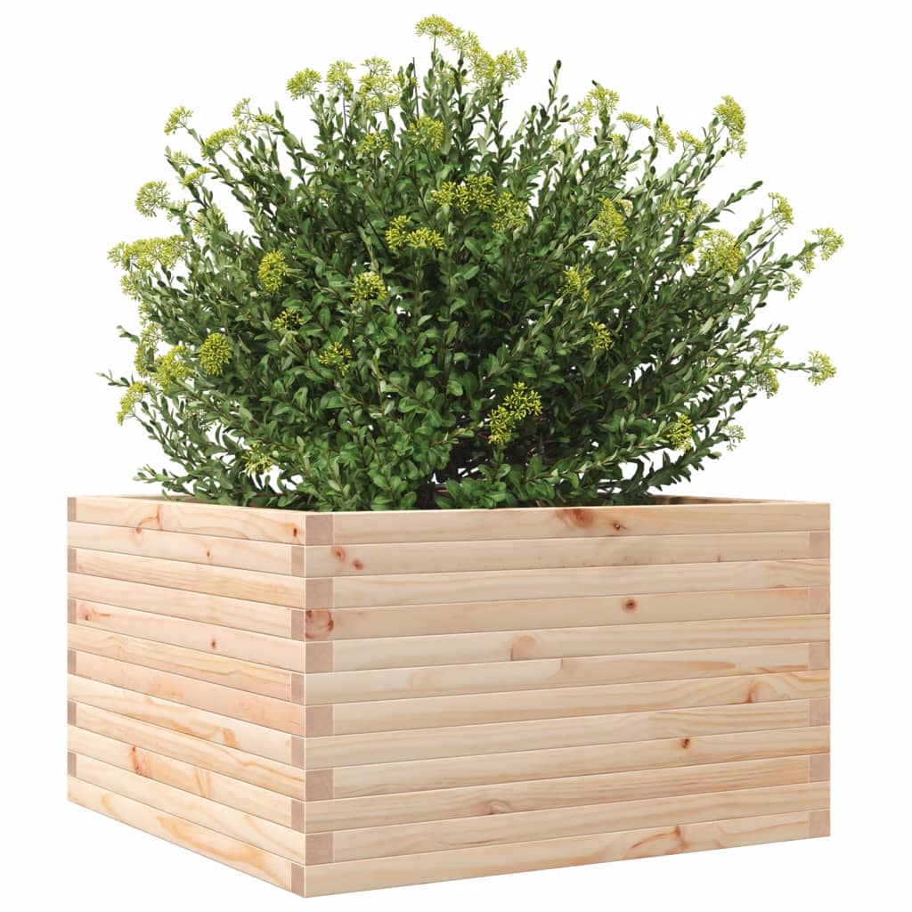 vidaXL Jardinera madera maciza de pino 80x80x45,5 cm