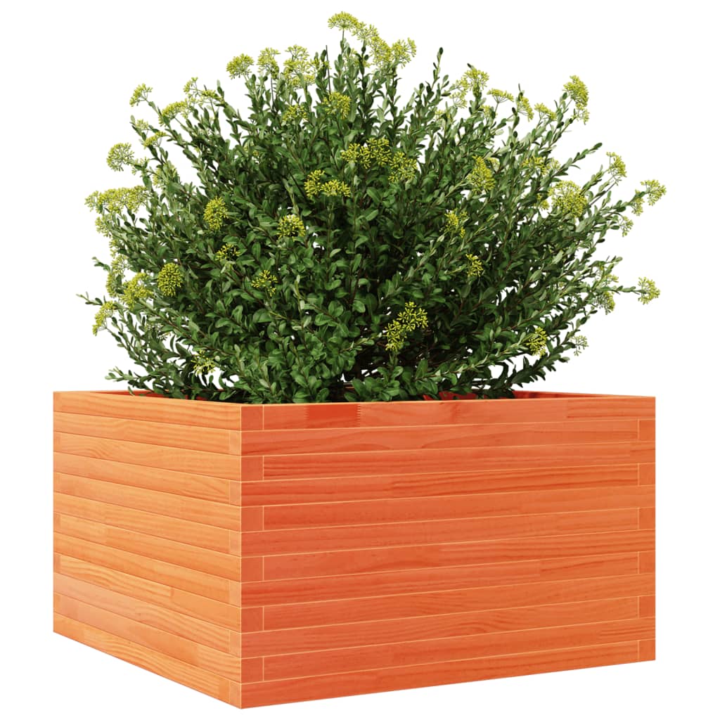 vidaXL Jardinera de madera maciza de pino marrón cera 80x80x45,5 cm