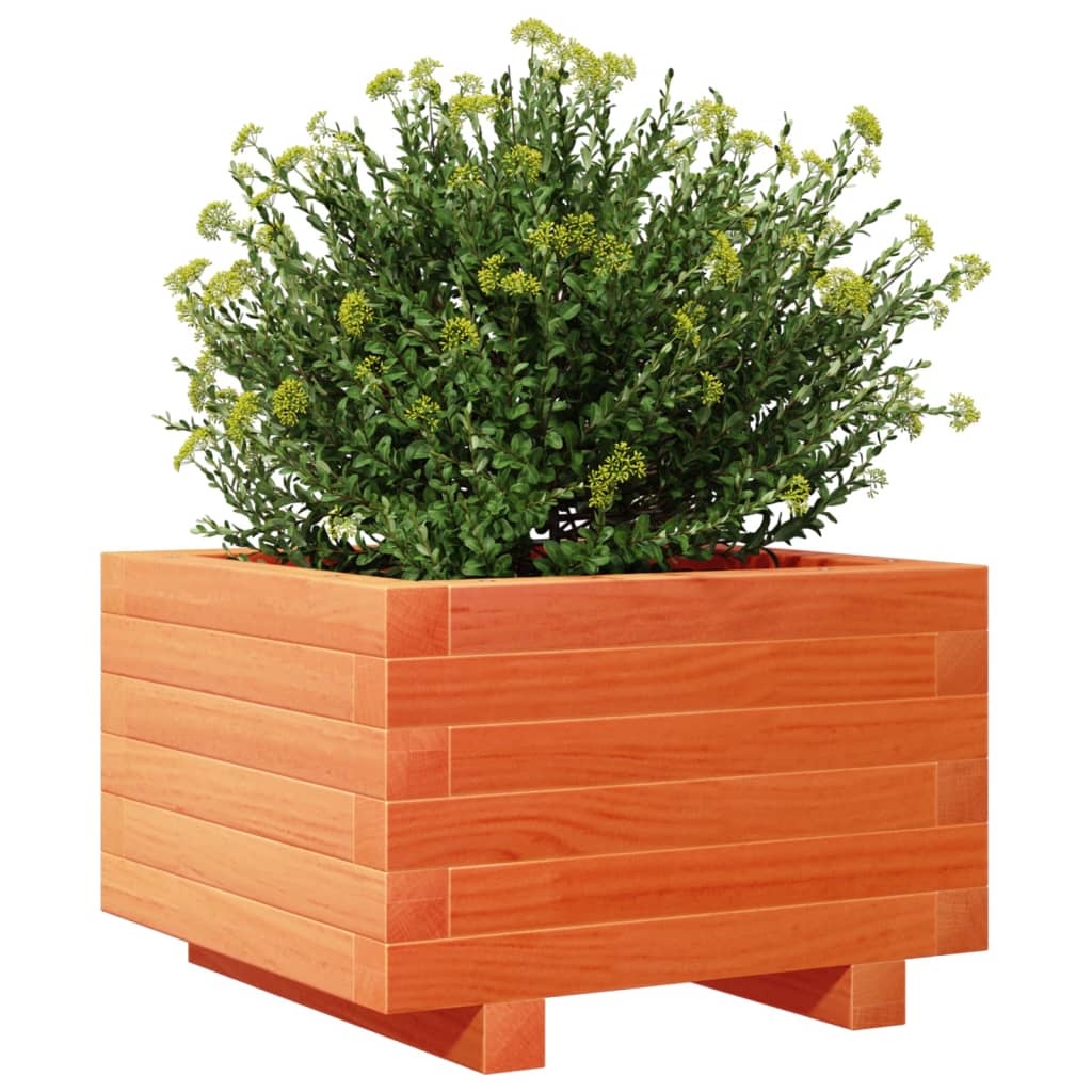 vidaXL Jardinera madera maciza de pino marrón cera 40x40x26,5 cm