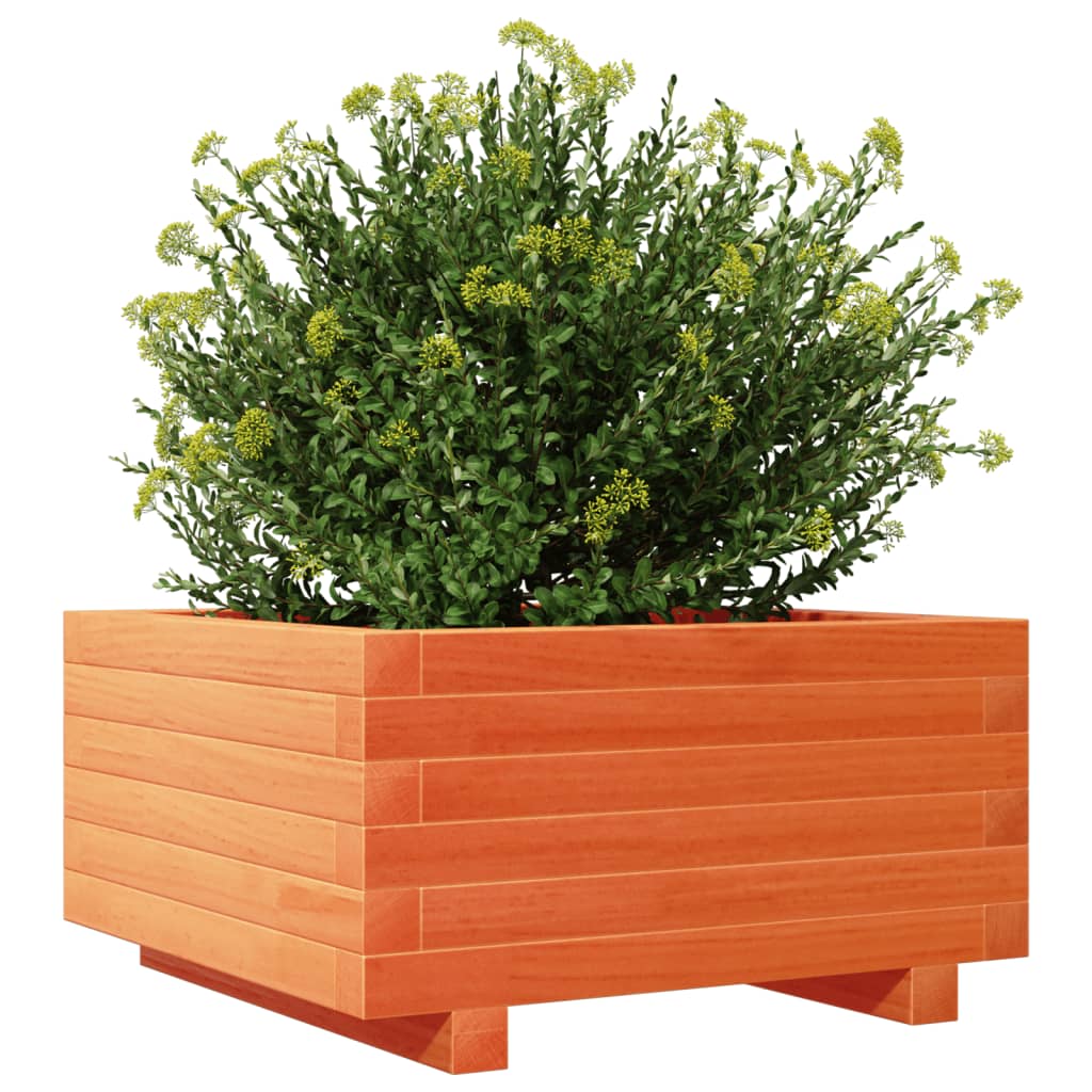 vidaXL Jardinera madera maciza de pino marrón cera 50x50x26,5 cm