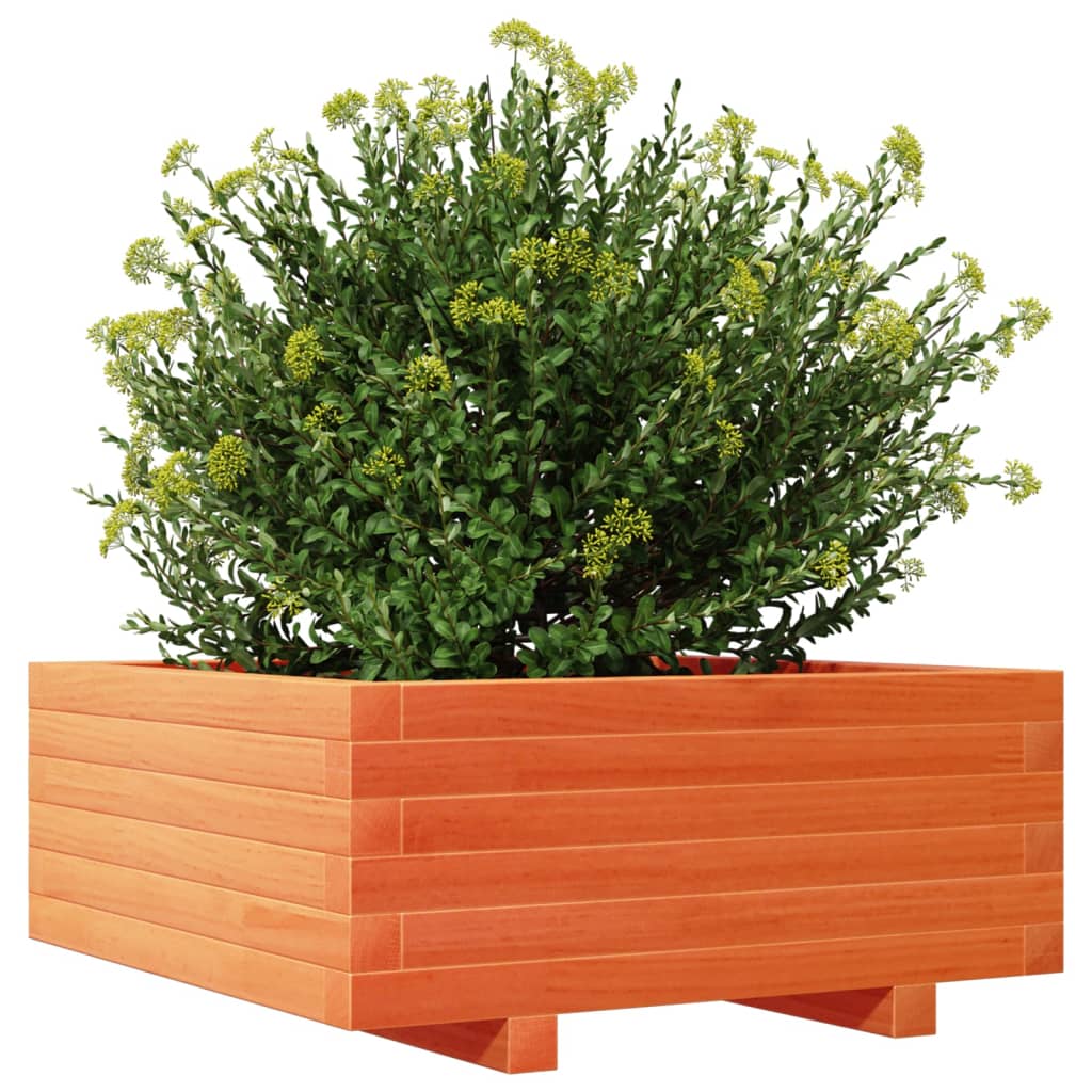 vidaXL Jardinera de madera maciza de pino marrón cera 60x60x26,5 cm