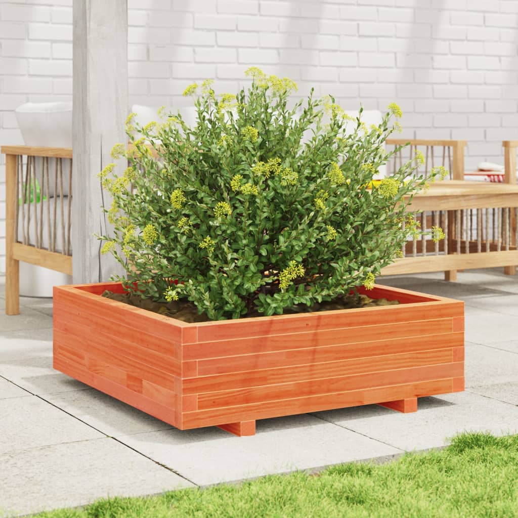 vidaXL Jardinera de madera maciza de pino marrón cera 80x80x26,5 cm