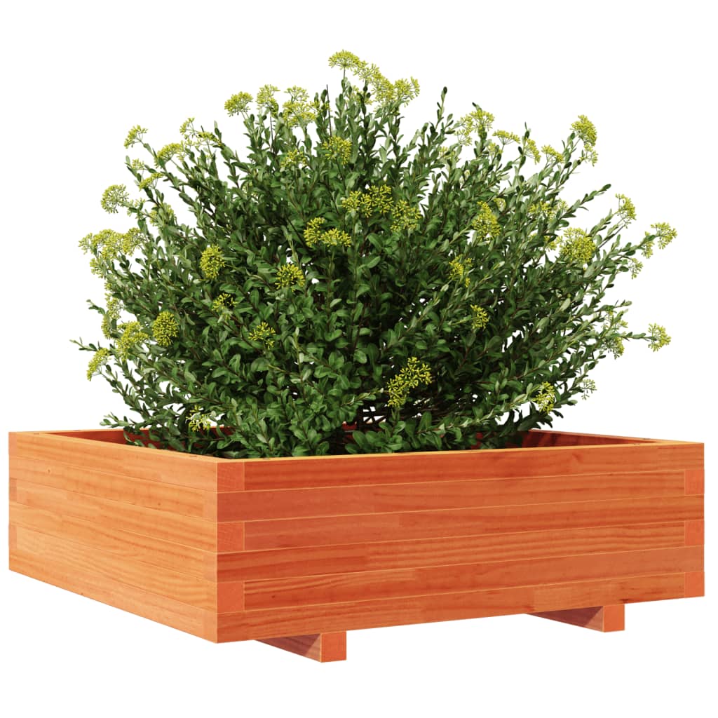 vidaXL Jardinera de madera maciza de pino marrón cera 80x80x26,5 cm