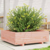 vidaXL Jardinera de madera maciza Douglas 80x80x26,5 cm