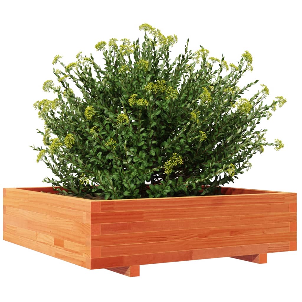 vidaXL Jardinera de madera maciza de pino marrón cera 90x90x26,5 cm