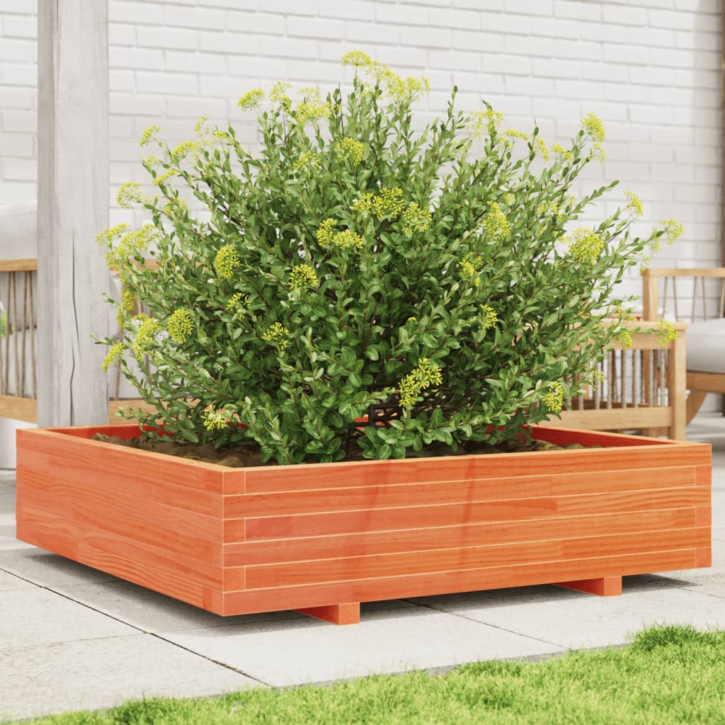 vidaXL Jardinera de madera maciza de pino marrón cera 100x100x26,5 cm